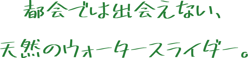 都会では出会えない
天然のウォータースライダー・